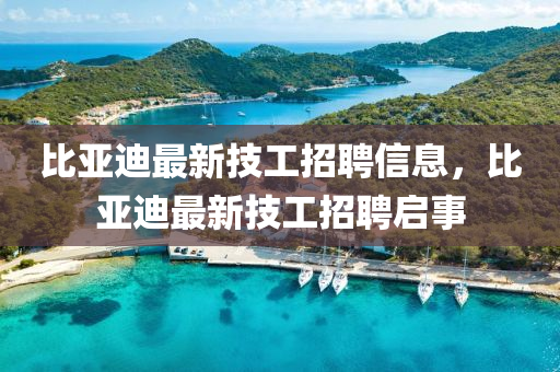 比亞迪最新技工招聘信息，比亞迪最山東水清源環(huán)?？萍加邢薰拘录脊ふ衅竼⑹? class=