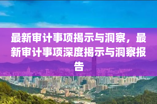 最新審計(jì)事項(xiàng)揭示與洞察，最新審計(jì)事項(xiàng)深度揭示與山東水清源環(huán)保科技有限公司洞察報(bào)告