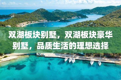 雙湖板塊別墅，雙湖板塊豪華別墅，品質(zhì)生活的理想選擇山東水清源環(huán)保科技有限公司