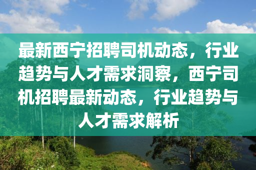 最新西寧招聘司機(jī)動態(tài)，行業(yè)趨勢與人才需求洞察，西寧司機(jī)招聘最新動態(tài)，行業(yè)趨勢與人才需求解析山東水清源環(huán)保科技有限公司
