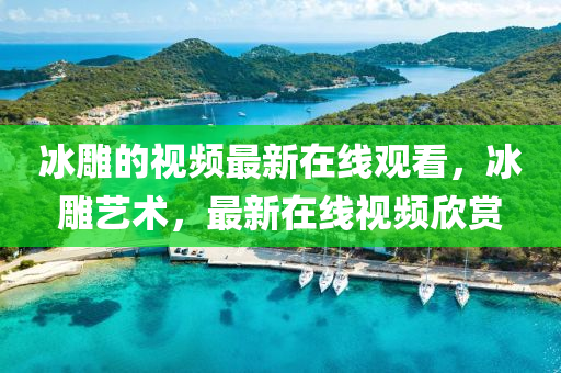 冰雕山東水清源環(huán)?？萍加邢薰镜囊曨l最新在線(xiàn)觀看，冰雕藝術(shù)，最新在線(xiàn)視頻欣賞