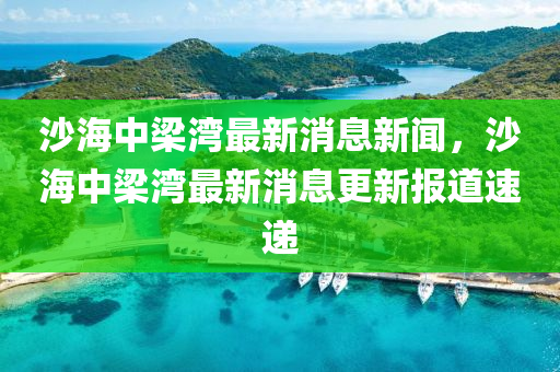 沙海中梁灣最新消息新聞，沙海中梁灣最新消息更新報(bào)山東水清源環(huán)保科技有限公司道速遞