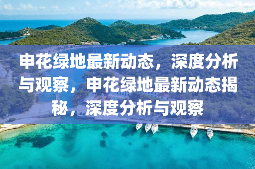 申花綠地最山東水清源環(huán)?？萍加邢薰拘聞?dòng)態(tài)，深度分析與觀察，申花綠地最新動(dòng)態(tài)揭秘，深度分析與觀察