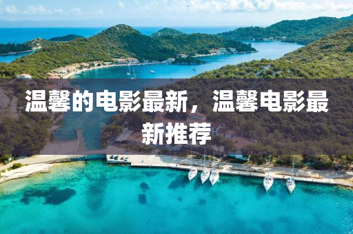 溫馨的電影最山東水清源環(huán)?？萍加邢薰拘?，溫馨電影最新推薦