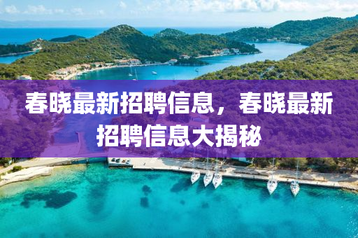 春曉最新招聘信息，春曉最新招聘信息大揭秘
