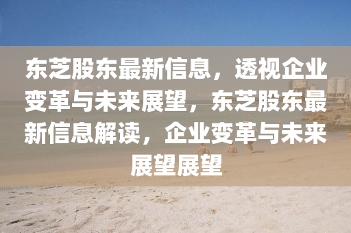 東芝股東最新信息，透視企業(yè)變革與未來展望，東芝股東最新信息解讀，企業(yè)變革與未來展望展望