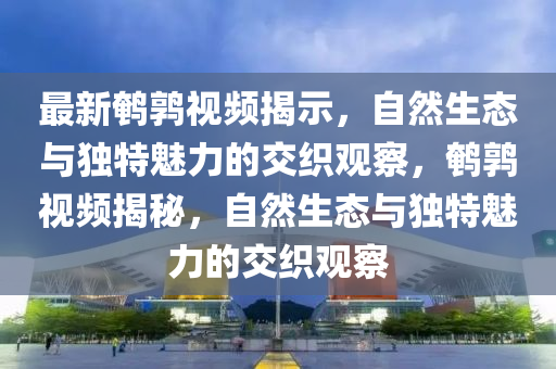 最新鵪鶉視頻揭示，自然生態(tài)與獨特魅力的交織觀察，鵪鶉視頻揭秘，自然生態(tài)與獨特魅力的交織觀察