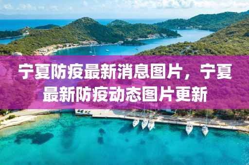 寧夏防疫最新消息圖片，寧夏最新山東水清源環(huán)?？萍加邢薰痉酪邉?dòng)態(tài)圖片更新