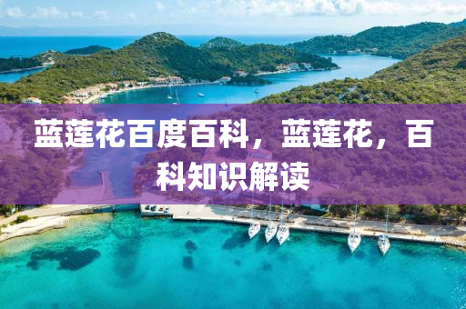 藍(lán)蓮花百度百科，藍(lán)蓮花，百科知識(shí)解讀