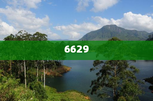 陽新最新報道，陽新最新新聞資訊