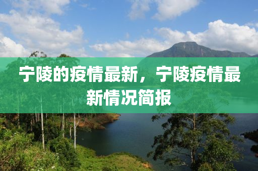 寧陵的疫情最新，寧陵疫情最新情況簡報(bào)