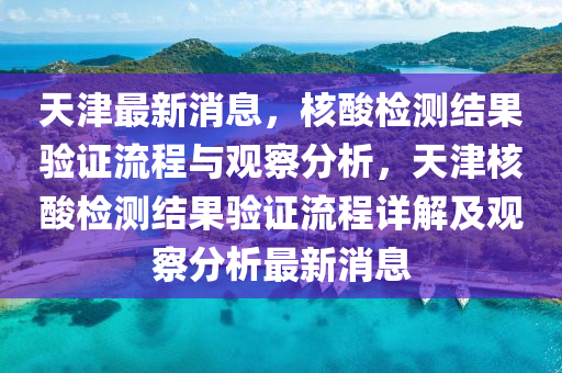 天津最新消息，核酸檢測結(jié)果驗(yàn)證流程與觀察分析，天津核酸檢測結(jié)果驗(yàn)證流程詳解及觀察分析最新消息