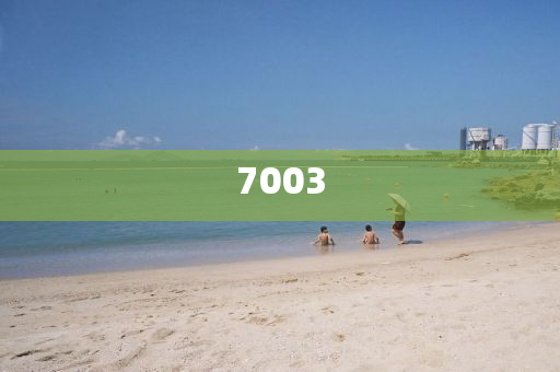 上海疫情最新消息下的搶菜現(xiàn)象，挑戰(zhàn)與應對之道，上海疫情最新動態(tài)下的搶菜現(xiàn)象，挑戰(zhàn)與應對策略