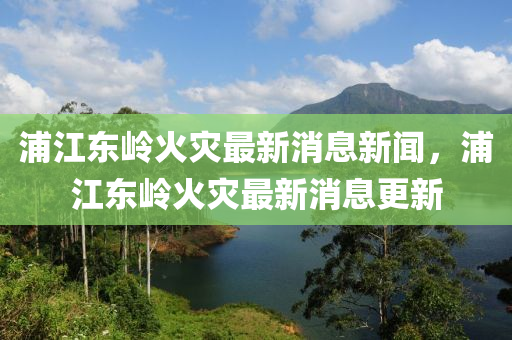 浦江東嶺火災最新消息新聞，浦江東嶺火災最新消息更新