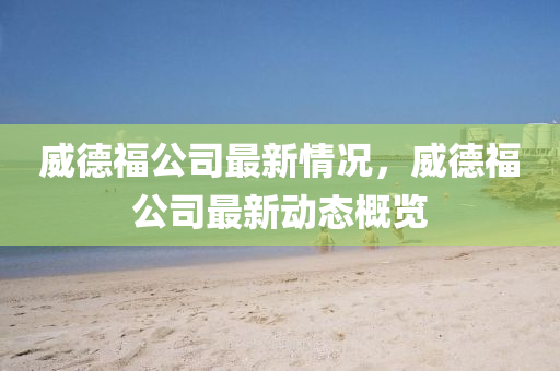 威德福公司最新情況，威德福公司最新動態(tài)概覽