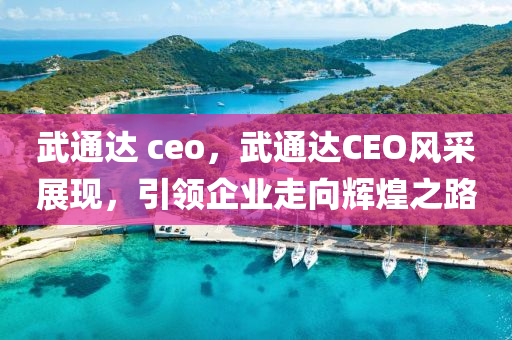 武通達(dá) ceo，武通達(dá)CEO風(fēng)采展現(xiàn)，引領(lǐng)企業(yè)走向輝煌之路