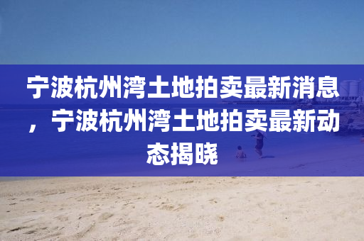 寧波杭州灣土地拍賣最新消息，寧波杭州灣土地拍賣最新動(dòng)態(tài)揭曉