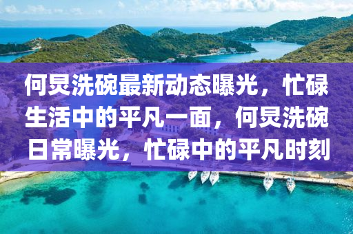何炅洗碗最新動(dòng)態(tài)曝光，忙碌生活中的平凡一面，何炅洗碗日常曝光，忙碌中的平凡時(shí)刻