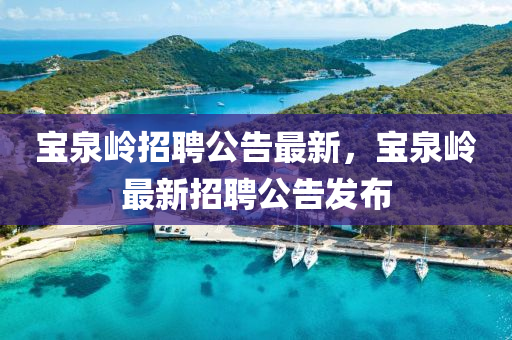 寶泉嶺招聘公告最新，寶泉嶺最新招聘公告發(fā)布