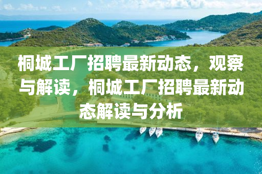 桐城工廠招聘最新動態(tài)，觀察與解讀，桐城工廠招聘最新動態(tài)解讀與分析