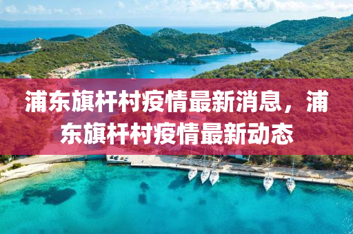 浦東旗桿村疫情最新消息，浦東旗桿村疫情最新動態(tài)