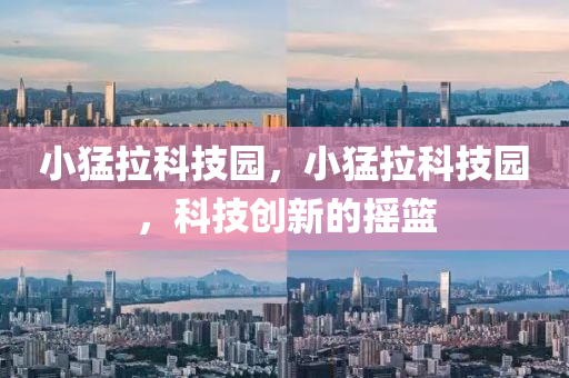 小猛拉科技山東水清源環(huán)?？萍加邢薰緢@，小猛拉科技園，科技創(chuàng)新的搖籃